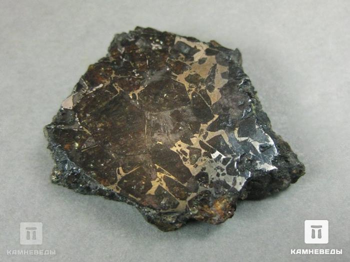 Метеорит Брагин, 3,1х2,6х0,6 см, 10-187/4, фото 2