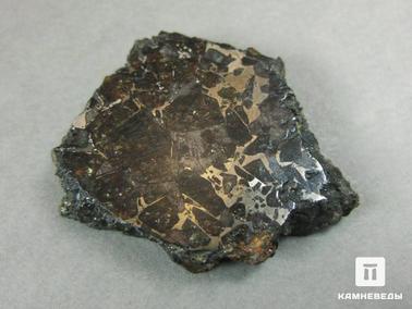 Метеориты. Метеорит Брагин, 3,1х2,6х0,6 см