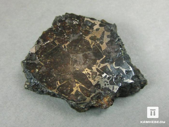Метеорит Брагин, 3,1х2,6х0,6 см, 10-187/4, фото 1
