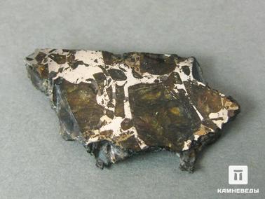 Метеориты. Метеорит Брагин, 3х1,7х0,4 см