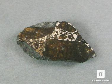 Метеориты. Метеорит Брагин, 2,1х1,2х0,4 см