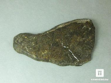 Метеориты. Метеорит NWA 850, пластина