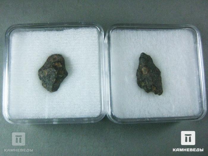Метеорит NWA 6368, 10-3, фото 3