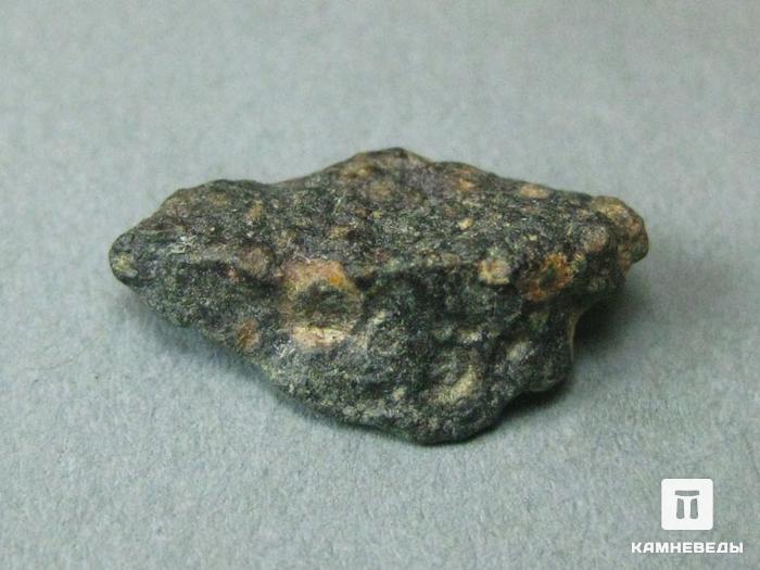 Метеорит NWA 6368, 10-3, фото 1