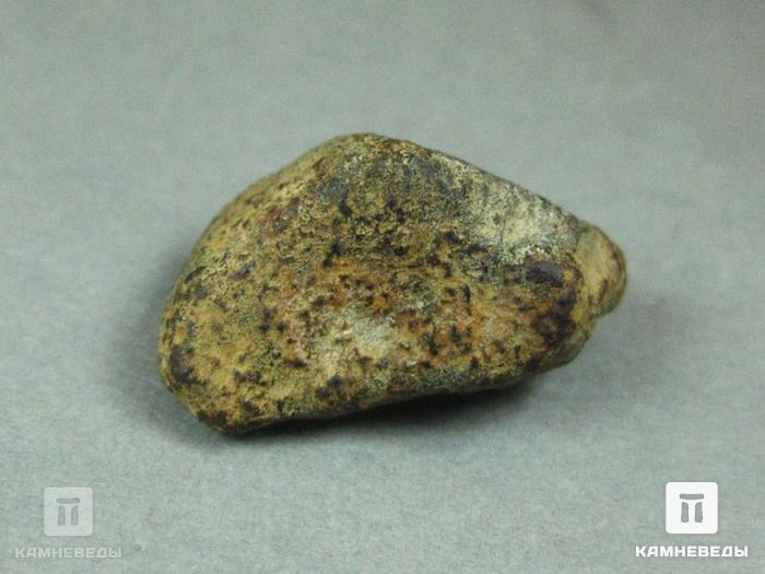 Метеорит Gao-Guenie 2х1,4х1 см, 10-249/2, фото 3