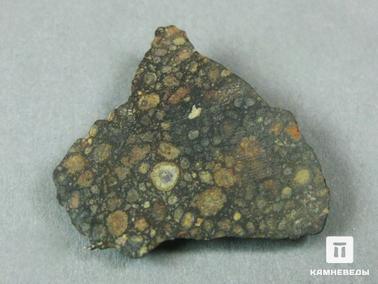 Метеориты. Метеорит NWA 6368