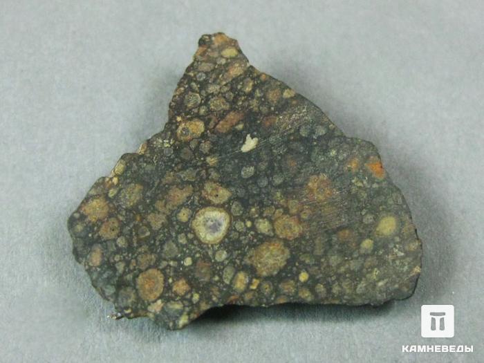 Метеорит NWA 6368, 10-3/1, фото 1
