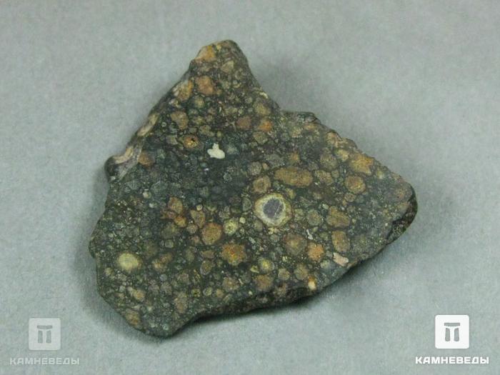 Метеорит NWA 6368, 10-3/2, фото 2