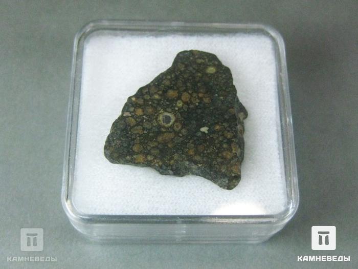 Метеорит NWA 6368, 10-3/2, фото 3