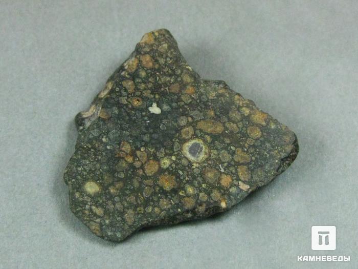 Метеорит NWA 6368, 10-3/2, фото 1