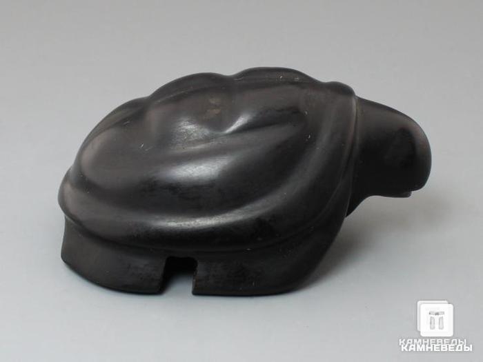 Черепаха из гагата, 7,1х5,2х3,2 см, 23-81/1, фото 3
