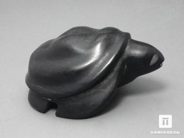Шунгитовый сланец. Черепаха из шунгитового сланца, 6х4,4х2,8 см