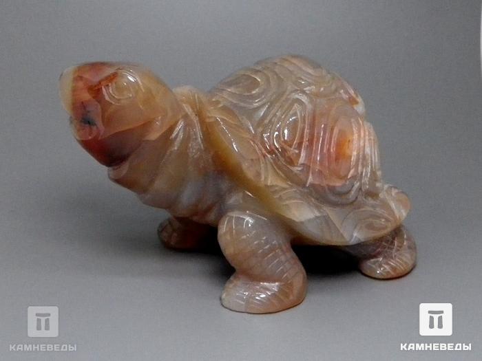 Черепаха из агата, 23-116, фото 3