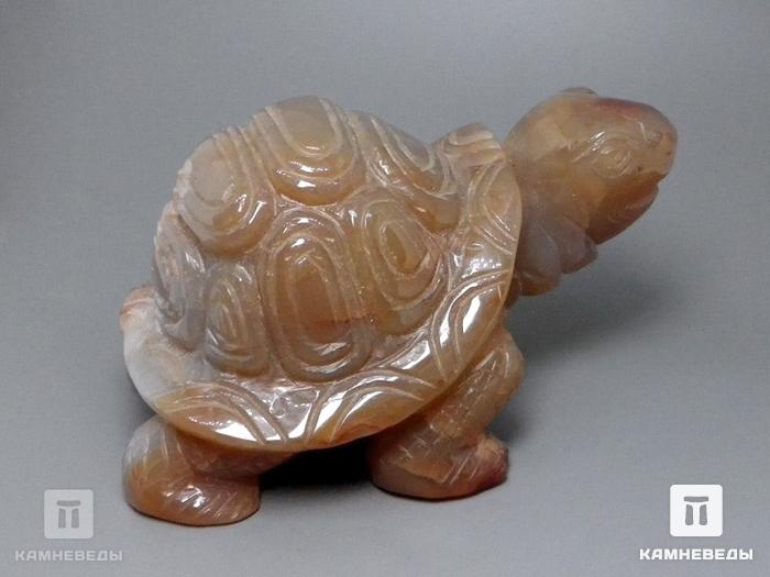 Черепаха из агата, 23-116, фото 4
