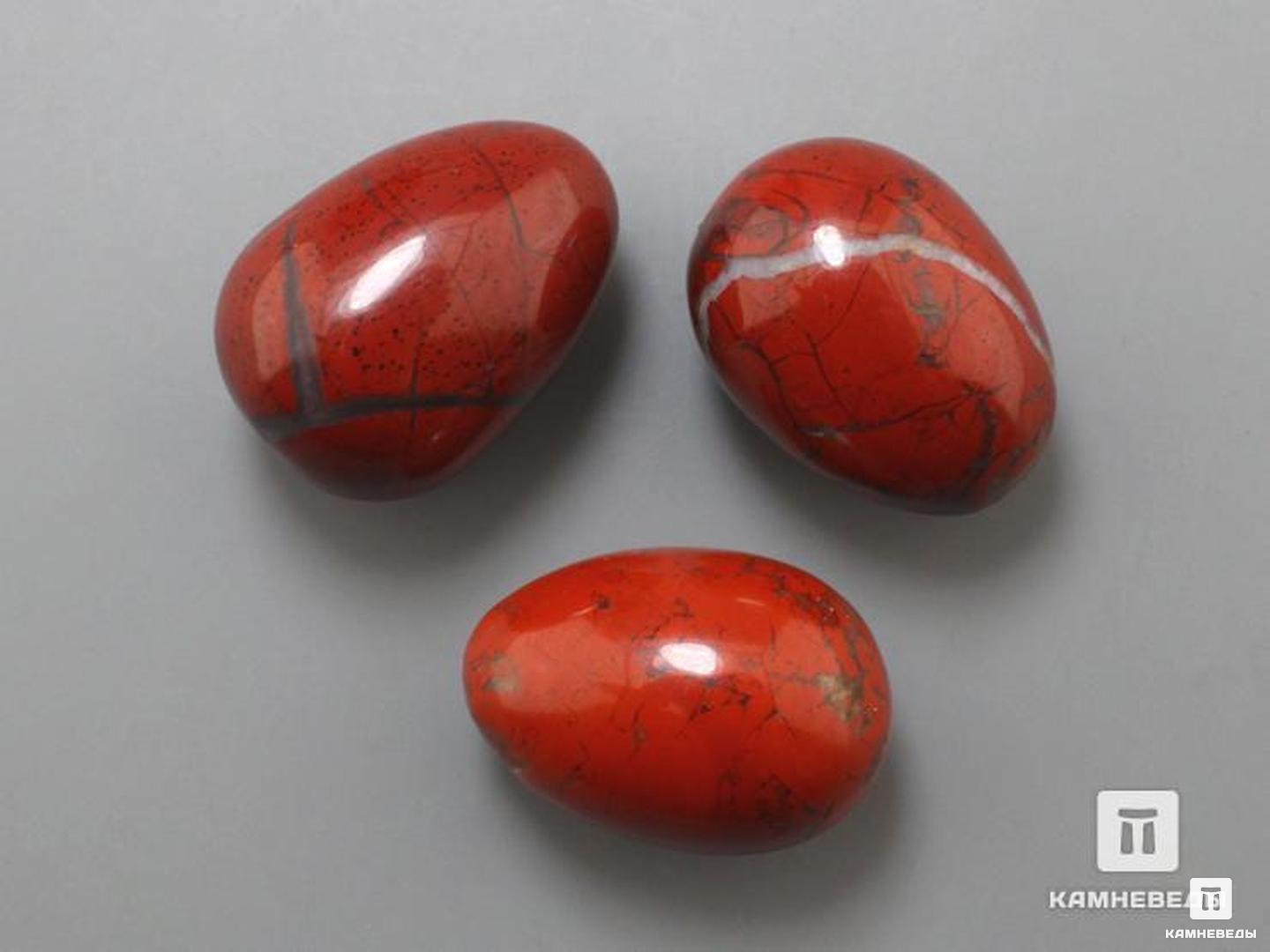 Яйцо из красной яшмы, 2,5x1,8 см конспект слушателя института красной профессуры