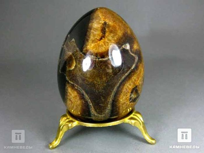 Яйцо из симбирцита с сегментом аммонита, 6,8х5 см, 22-47/2, фото 2
