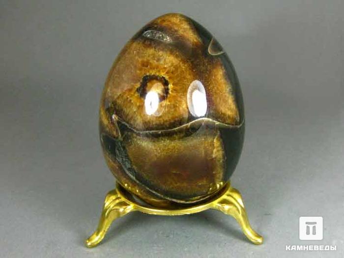 Яйцо из симбирцита с сегментом аммонита, 6,8х5 см, 22-47/2, фото 1