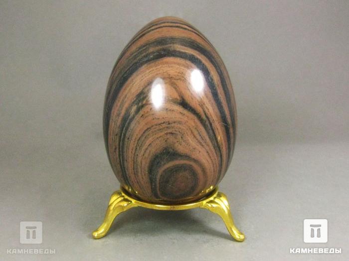 Яйцо из окаменелого дерева, 7,8х5,5 см, 22-81, фото 2