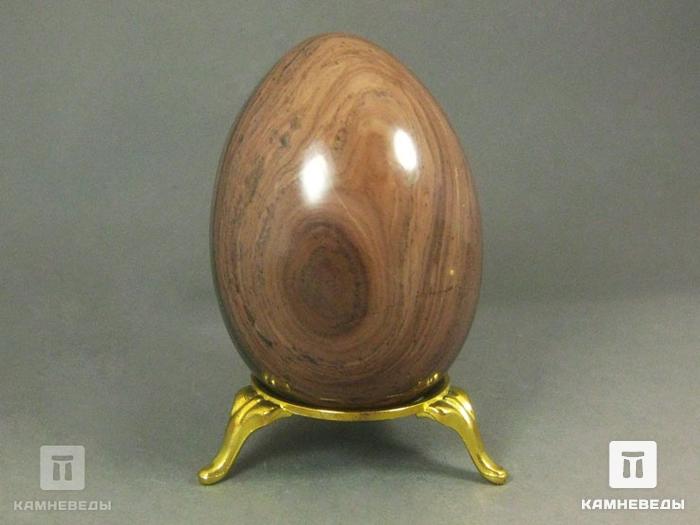 Яйцо из окаменелого дерева, 7,8х5,5 см, 22-81, фото 4