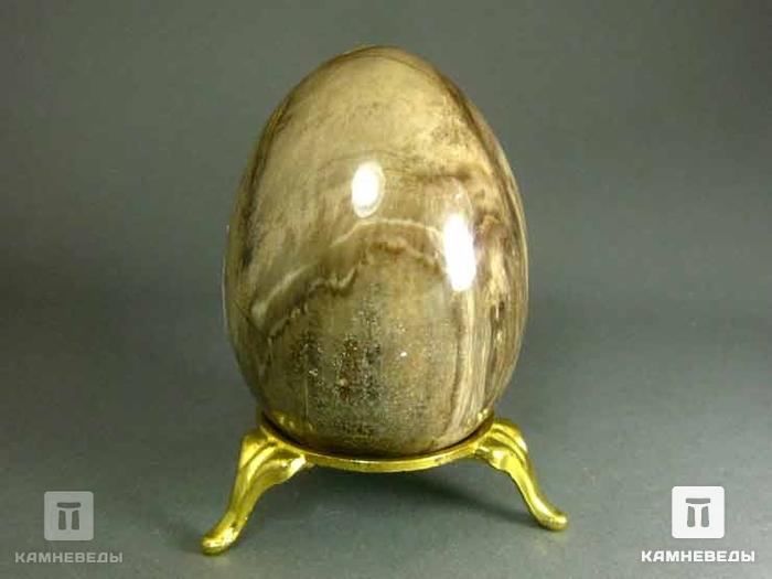 Яйцо из окаменелого дерева, 7х5 см, 22-81/1, фото 3