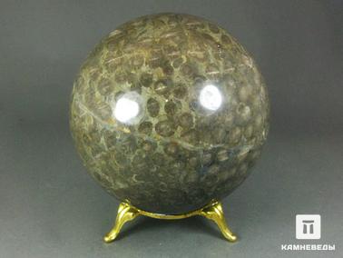 Кораллы. Шар из окаменелых кораллов, 90 мм