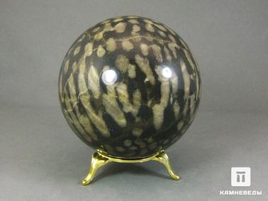 Кораллы. Шар из окаменелых кораллов, 77 мм