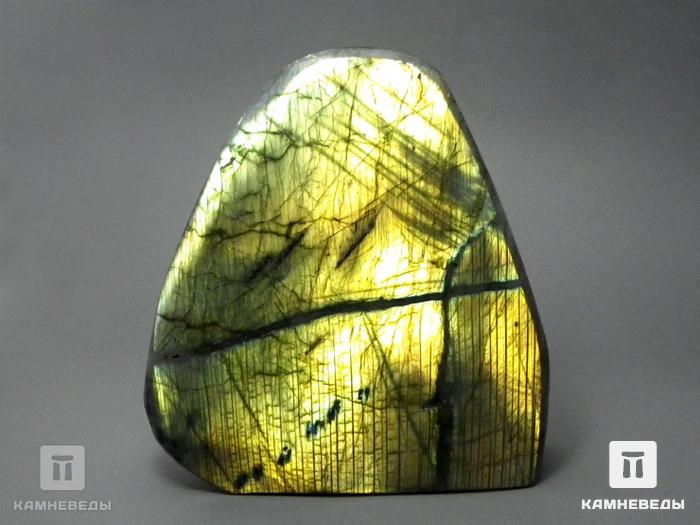 Лабрадор, полировка 14,5х13,5х4,3 см, 11-18/4, фото 2