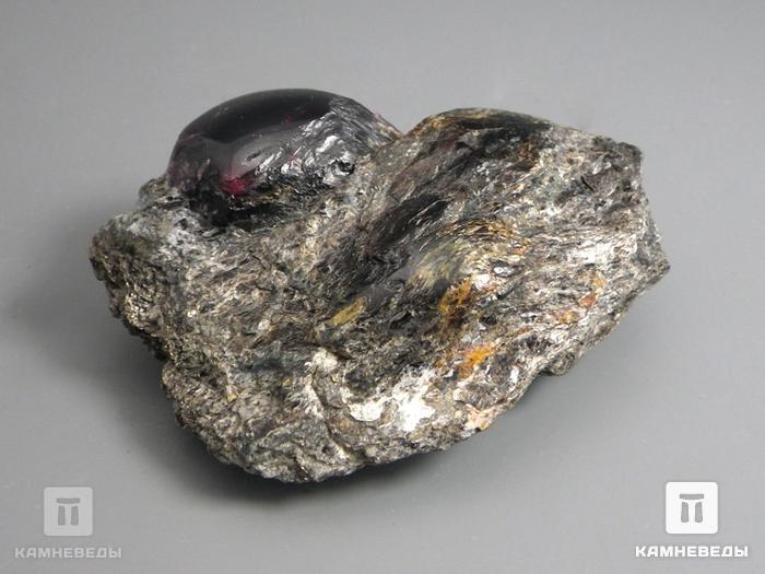 Гранат альмандин в метаморфическом сланце, 6х3х2,5 см, 10-297/6, фото 3
