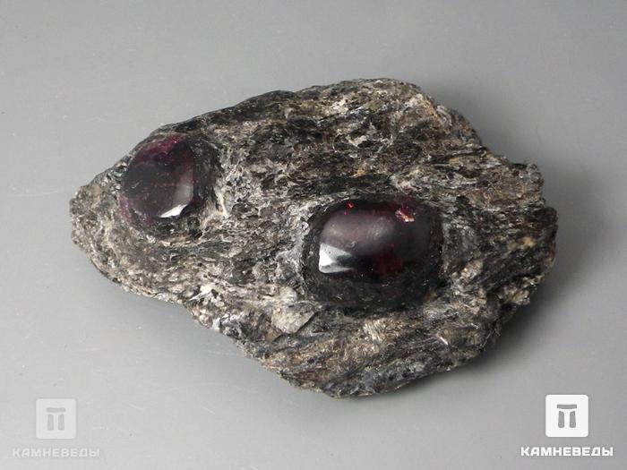 Гранат альмандин в метаморфическом сланце, 5,5-11 см, 10-297/5, фото 2