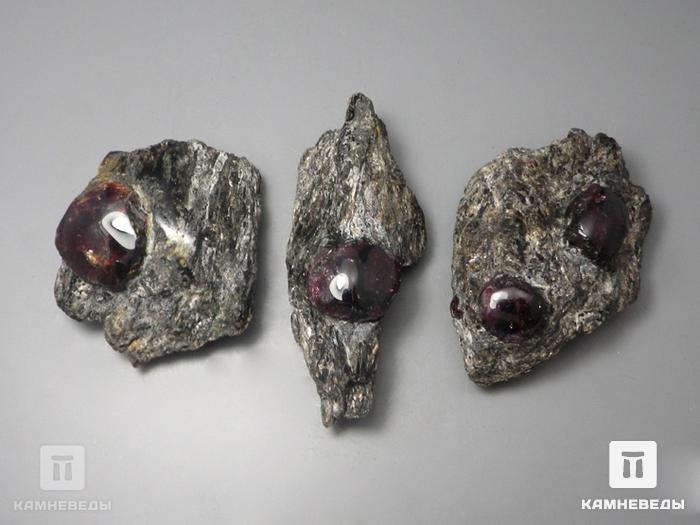 Гранат альмандин в метаморфическом сланце, 5,5-11 см, 10-297/5, фото 4