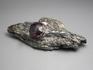 Гранат альмандин в метаморфическом сланце, 5,5-11 см, 10-297/5, фото 1