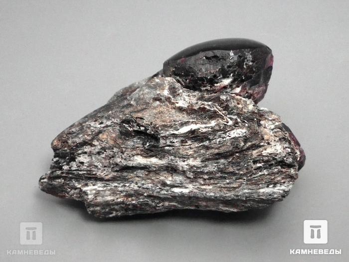 Гранат альмандин в метаморфическом сланце, 6х4,5х2,5 см, 10-297/10, фото 2