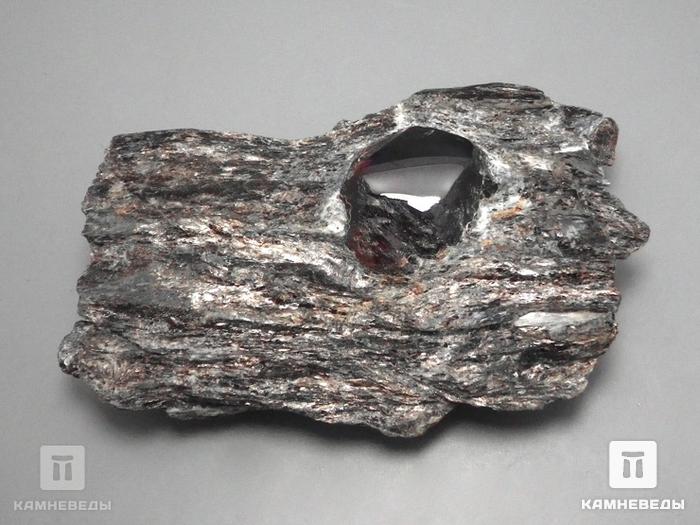 Гранат альмандин в метаморфическом сланце, 9,3х6х2,8 см, 10-297/11, фото 2