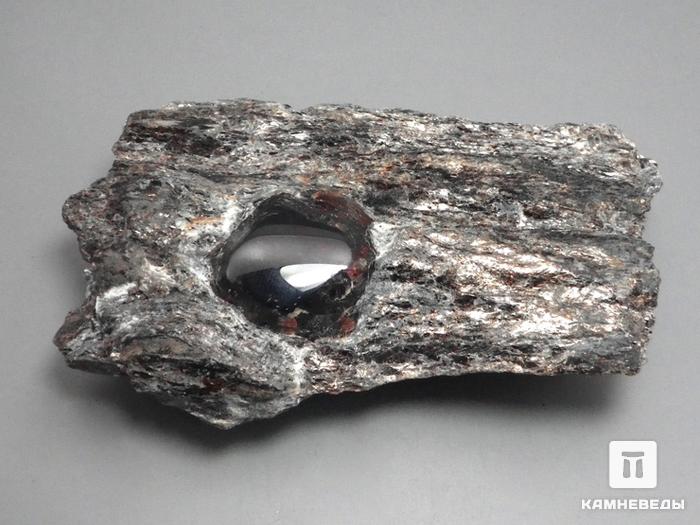Гранат альмандин в метаморфическом сланце, 9,3х6х2,8 см, 10-297/11, фото 1