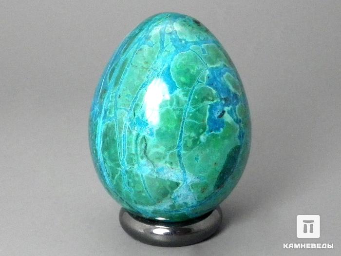 Яйцо из хризоколлы, 4,8х3,7 см, 22-26/4, фото 1