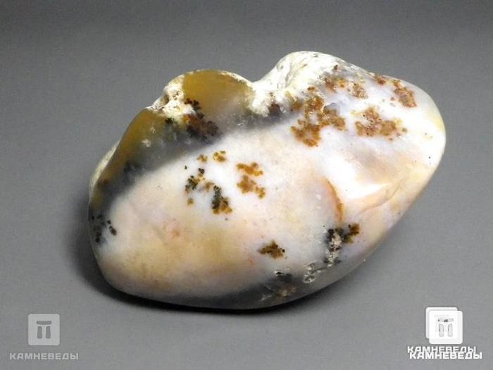 Агат дендритовый (халцедон), полировка 9х5,7х5,2 см, 11-88/6, фото 2