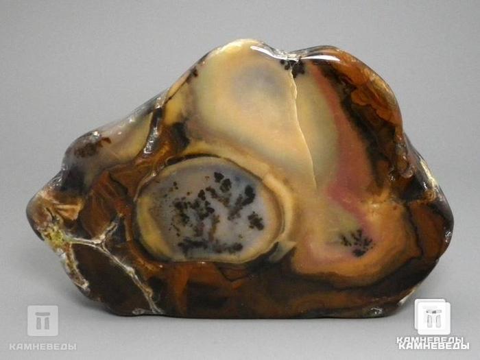 Агат дендритовый (халцедон), полировка 11х7,8х3,1 см, 11-88/10, фото 2