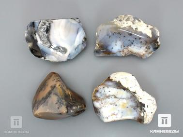 Агат, Халцедон. Агат дендритовый (халцедон), полировка 8-9 см