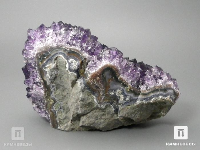 Аметист, друза 12х7,8х6,5 см, 10-167/36, фото 3
