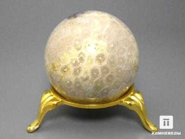 Кораллы. Шар из окаменелых кораллов, 44-45 мм