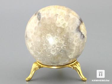 Кораллы. Шар из окаменелых кораллов, 62 мм