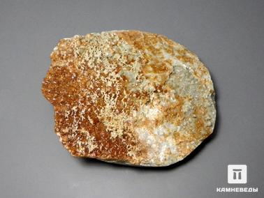 Гранат. Гранат гроссуляр, 6-7 см