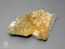 Гранат гроссуляр, 4,5-6 см, 10-158/22, фото 4