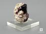 Кристалл турмалина (рубеллит) на лепидолите, 10-76/22, фото 2