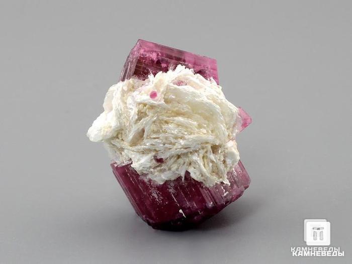 Турмалин (рубеллит), сросток кристаллов, 10-76/25, фото 2