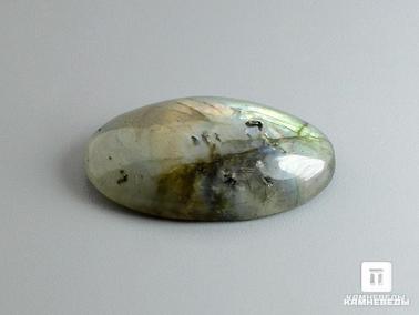 Лабрадор. Лабрадор, кабошон