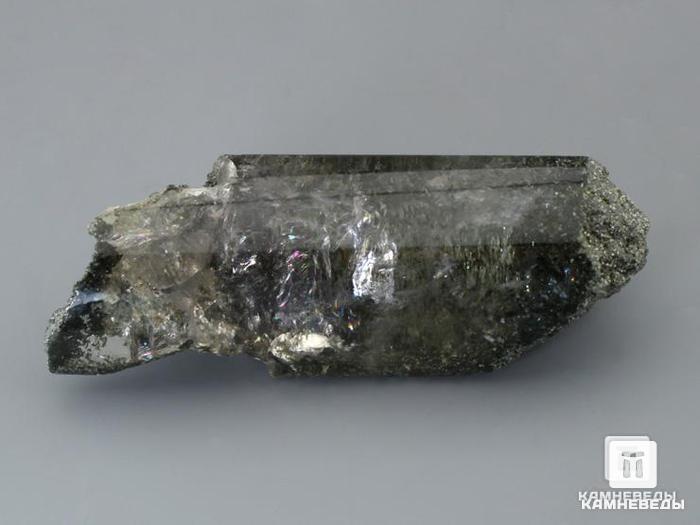 Горный хрусталь с хлоритом, приполированный кристалл, 10-93/35, фото 1