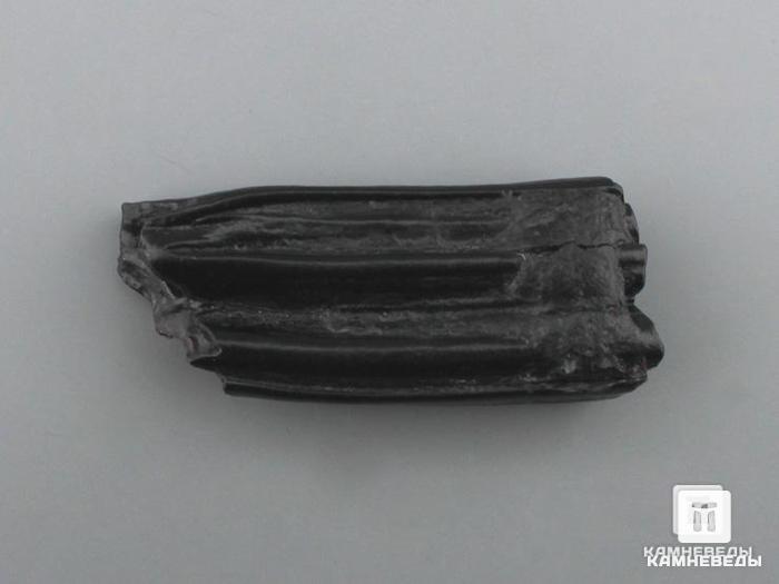 Зуб ископаемой лошади Equus sp., 6х2,5х1,4 см, 8-70/1, фото 1