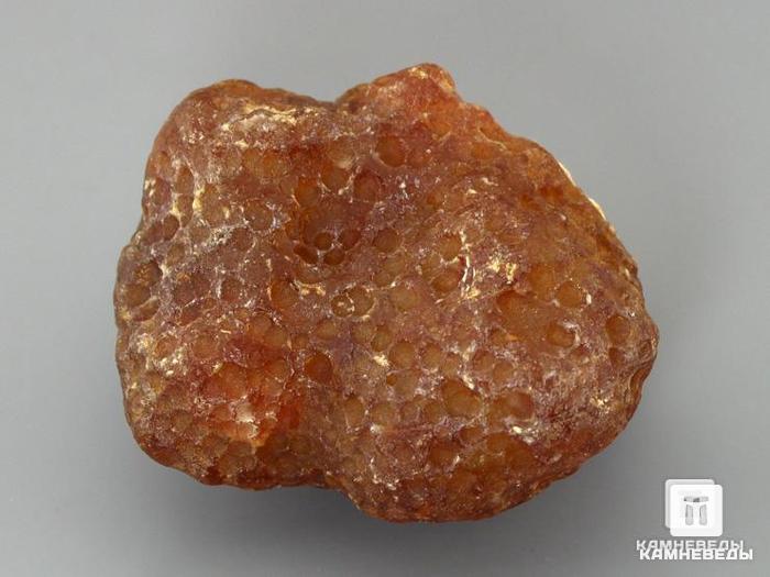 Сердолик, 5,5х4 см, 10-7/12, фото 2