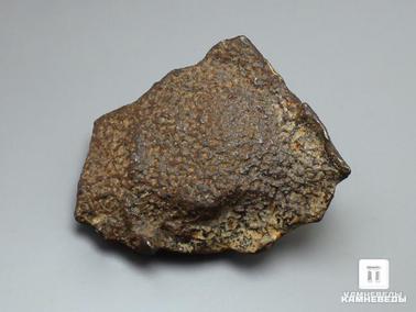 Метеориты. Метеорит Gebel Kamil, 4,3х3,5х1,8 см